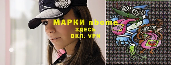 стафф Майский