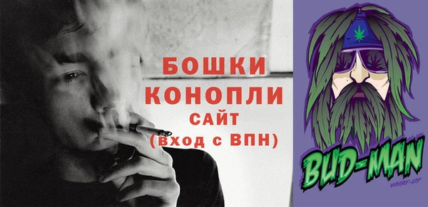 стафф Майский