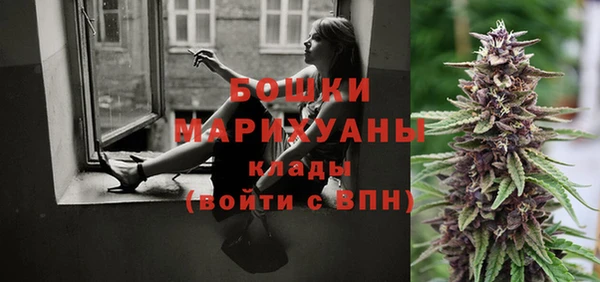 apvp Магас