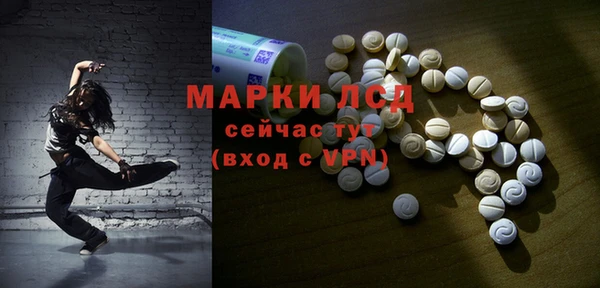 apvp Магас