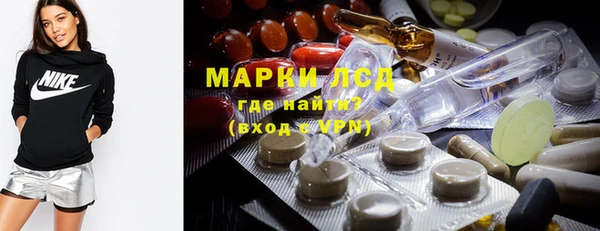 apvp Магас