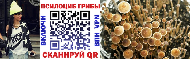 Купить  Дагестанские Огни  Галлюциногенные грибы ЛСД 